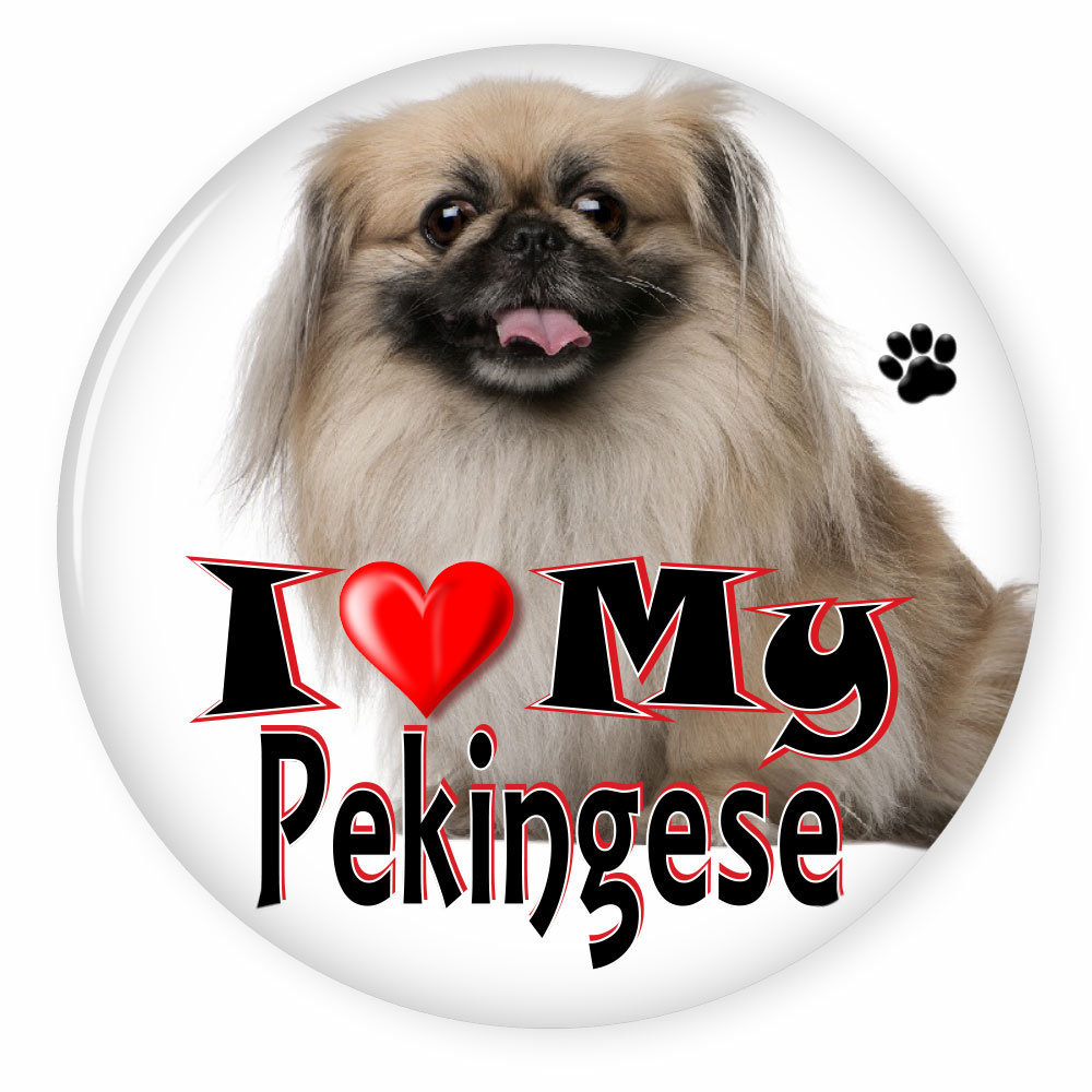 I Love My PEKINGESE - Dog Puppy 3&quot; CAMPAIGN Pin Back Button For your fav... - $7.99