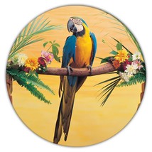 Macaw : Gift Coaster Parrot Bird Tropical Studio Animal Cute - £3.95 GBP