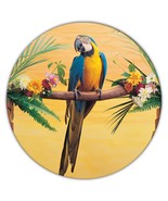 Macaw : Gift Coaster Parrot Bird Tropical Studio Animal Cute - £3.95 GBP