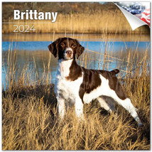 BRITTANY Wall Calendar 2024 DOG Animal PET Lover Gift - £19.77 GBP