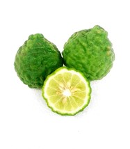 kaffir lime Citrus hystrix 100 Seeds ThailandMrk - £23.62 GBP