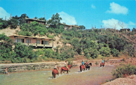 Concan Texas~Neals Vacation LODGES-HORSEBACK Riding In River~Postcard - £8.11 GBP