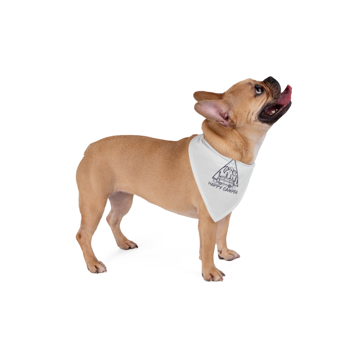 Primary image for Custom Dog Bandana: "Happy Camper" Design, Soft Polyester, 2 Sizes Available