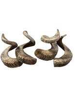 Ram Horn - 1 Natural Merino Horn (Size around curls around  23&quot; curve) - $133.13 CAD
