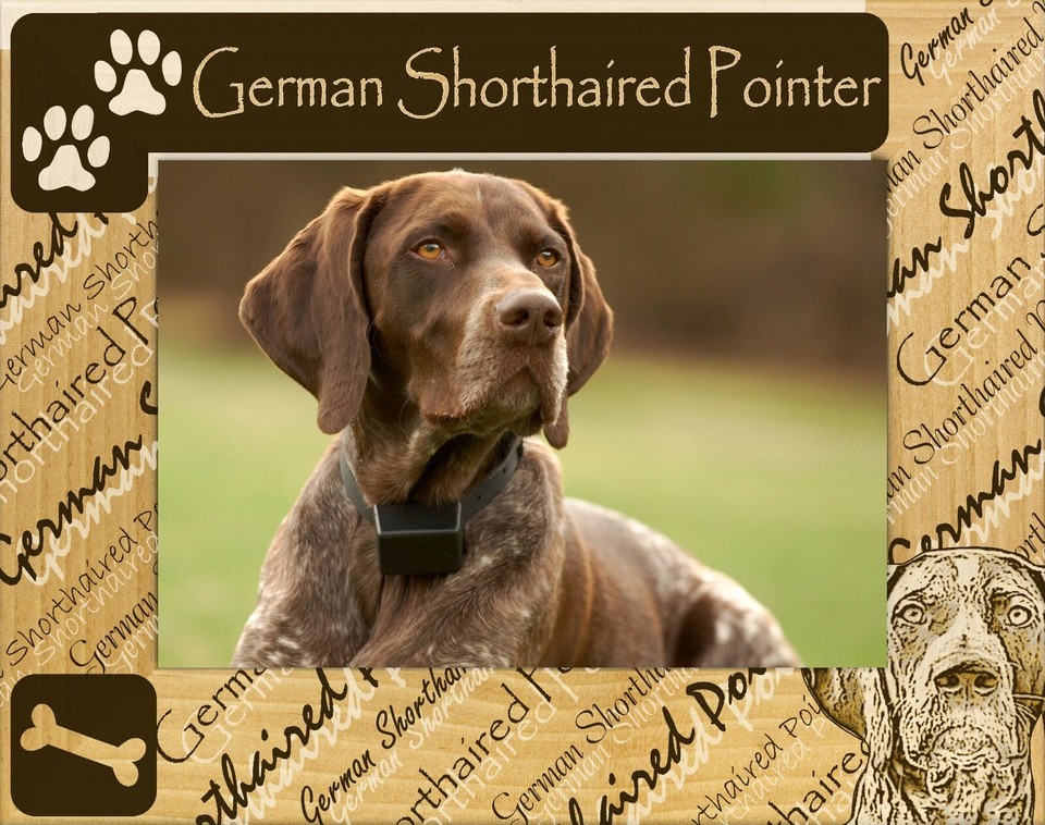 German Shorthaired Pointer Laser Engraved Wood Picture Frame Landscape (... - $29.99