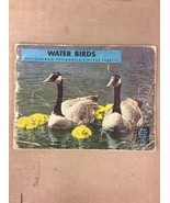 1946 Encyclopedia Britannica TRUE NATURE SERIES BOOK Water Birds #4 - $14.99