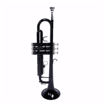 Nickel Plating Trumpet Gloves Set Black  - $222.39