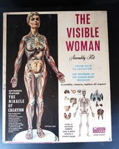 Vtg RENWAL 1960 Visible Woman Kit w/ Box NOS Anatomy Educational Tool Sc... - €38,61 EUR