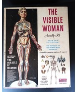 Vtg RENWAL 1960 Visible Woman Kit w/ Box NOS Anatomy Educational Tool Sc... - €39,45 EUR