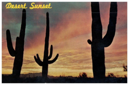 Giant Saguaros Silhouetted Against Red Sky Of The Arizona Sunset Cactus Postcard - £5.49 GBP