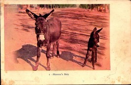 Embossed Postcard Donkeys Mama&#39;s Baby First Walk-bk27 - £2.34 GBP