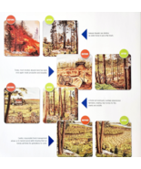 2002 International Paper Poster Life Of A Forest Trees Recycling Vintage... - €21,46 EUR 2002 International Paper Poster Life Of A Forest Trees Recycling Vintage... - €21,46 EUR
