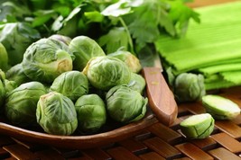 BRUSSELS SPROUT LONG ISLAND IMPROVED, 150 SEEDS R - £11.45 GBP