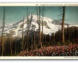 Timberline Mount Rainier National Park Washington Linen Postcard N25 - $3.36