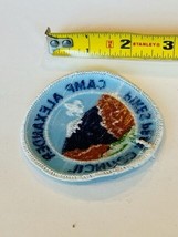 Boy Scouts Cub Girl Patch Council Badge Memorabilia vtg Camp Alexander Pikes mtn - £11.82 GBP