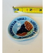 Boy Scouts Cub Girl Patch Council Badge Memorabilia vtg Camp Alexander P... - £11.59 GBP