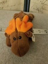 Retired Ty Beanie Babies Chocolate the Moose - $4.75