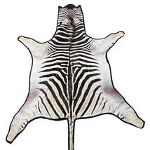 Real Zebra Skin Rug Felted Burchells Zebra Hide # 43 Huge Size: 8 X 7 feet - $1,890.66 CAD