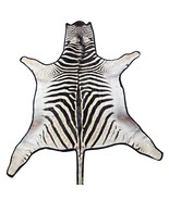 Real Zebra Skin Rug Felted Burchells Zebra Hide # 43 Huge Size: 8 X 7 feet - €1.181,34 EUR