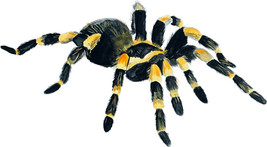 Item image 1 image 1