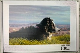 Border Collie Dog Puzzle 1000pcs - £22.59 GBP