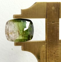 14 Cts 100% Natural Bio Tourmaline Polished Cut slice Top-quality Loose Gemstone - £64.66 GBP