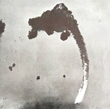 USS Hornet Gunners Destroy Japanese Bomber 1945 WW2 Photo Print Military... - $39.99