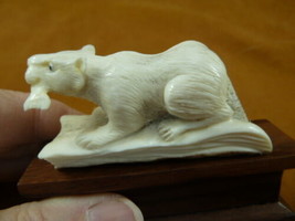 (ott-14) little Otter with fish of shed ANTLER figurine Bali detailed ca... - £50.25 GBP