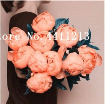 PWO Fresh Hot Sale 10 Pcs Peony Flower Bonsai Garden And Potted Plants Paeonia S - $5.18