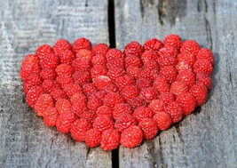 50 Red Raspberry {Rubus idaeus} seeds 98% Germination! NON-GMO  - £5.18 GBP