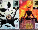 CATWOMAN #s 24 &amp; 33 (2002 3rd Series) DC Comics - Ed Brubaker VF-NM - $10.79