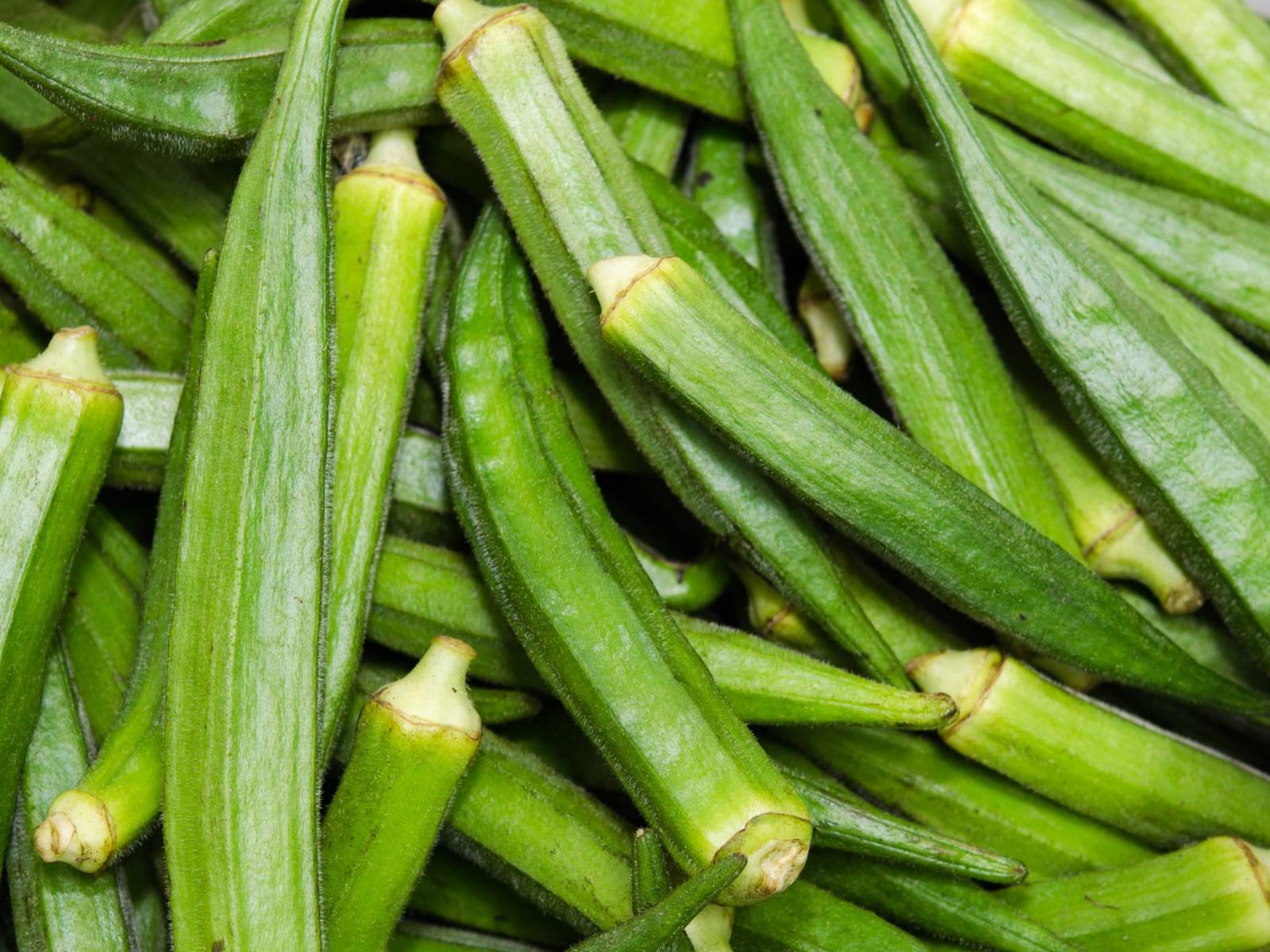Okra Seeds Spineless Okra Seeds Organic Okra Seeds Seeds Okra At Home Fr... - $2.98