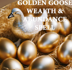 50-200x FULL COVEN GOLDEN GOOSE WEALTH ABUNDANCE HIGH MAGICK WITCH CASSIA