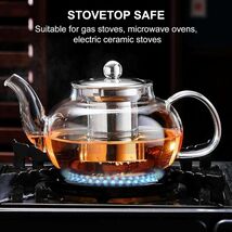 Glass Teapot 20 Oz Borosilicate Stainless Steel Inf Loose Leaf Tea Maker... - $12.77