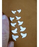 SW-1-N-2-3) 1/2&quot; Wholesale 10 (5left/right) modern Tiger Shark T**th DIY... - $36.24 CAD