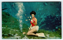 Weeki Wachee Mermaid Florida Vintage Postcard Lady Feeds Fish Underwater Chrome - £8.54 GBP