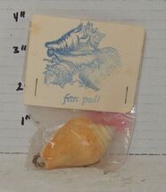 Custom Made Seashell Ceiling Fan Light Pull - $9.85