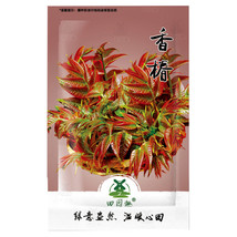 100 seeds toona sinensis Chinese mahogany Cedrela sinensis tree seeds - £6.06 GBP