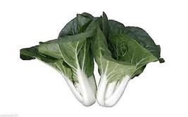 Baby Canton Milky White Steam Pak Choi/Bok Choy Chinese Cabbage Seeds Sz:100-500 - £1.43 GBP+