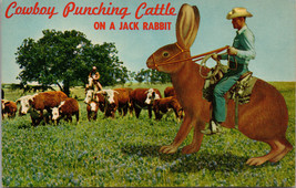 Cowboy Punching Cattle On A Jack Rabbit Postcard PC395 - £3.85 GBP