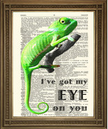 GREEN CHAMELEON PRINT: Quirky, Reptile Eye Animal Dictionary Art - £6.47 GBP