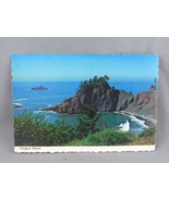 Vintage Postcard - Oregon Coast Near Brookings - Freeman Von Normann - $20.37 CAD