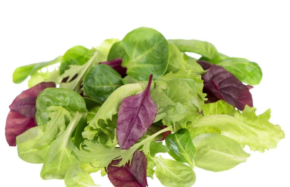 Lettuce Seeds - Mixed Greens - Mesclun Mix - $4.55