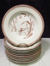 12 T &amp; R Boote Brown Transferware Summer Time Rimmed Soup Bowls Butterfly - £151.75 GBP