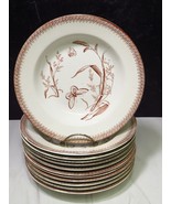 12 T &amp; R Boote Brown Transferware Summer Time Rimmed Soup Bowls Butterfly - £149.47 GBP