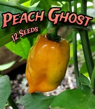 Peach Ghost Pepper - 12 Seeds - Exotic, Rare &amp; Hot - £3.14 GBP
