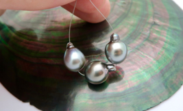 AA+ 3 SUPER COLORFUL RARE RIKITEA MANGAREVA GAMBIER ISLES SILVER COLORFU... - $119.68