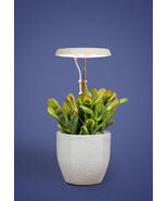 AeroGarden Stem Grow Light Cream White 5.71x4.33x1.30 in MPN 980201-0100 - €12,29 EUR