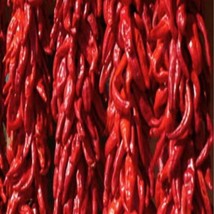 10 Sante Fe Peppers Seeds US Seller Fast Shipping - £5.86 GBP