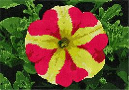 Pepita Needlepoint kit: Petunia Up Close, 10&quot; x 7&quot; - £40.06 GBP+